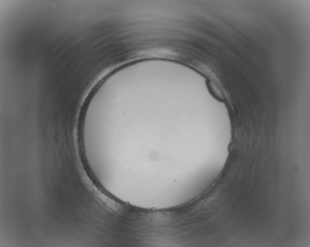 X0000066930947200604141954