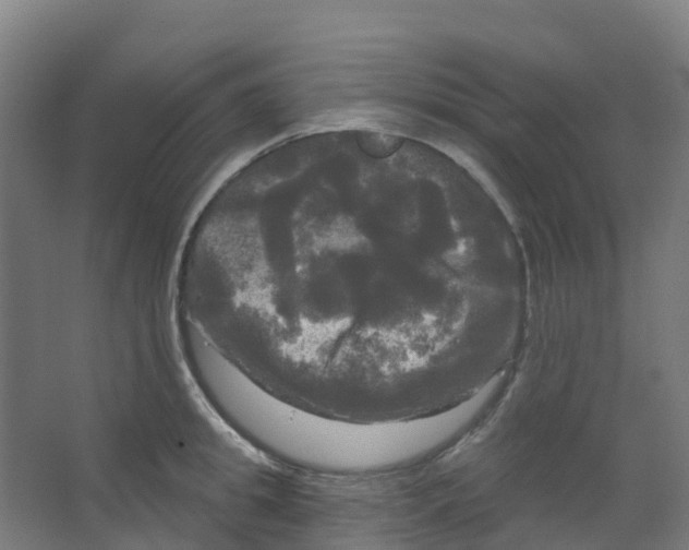 X0000066930949200604141954