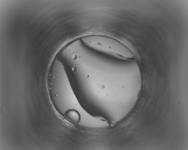 X0000066930950200604141954