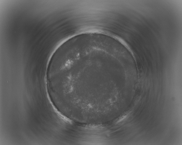 X0000066930951200604141954