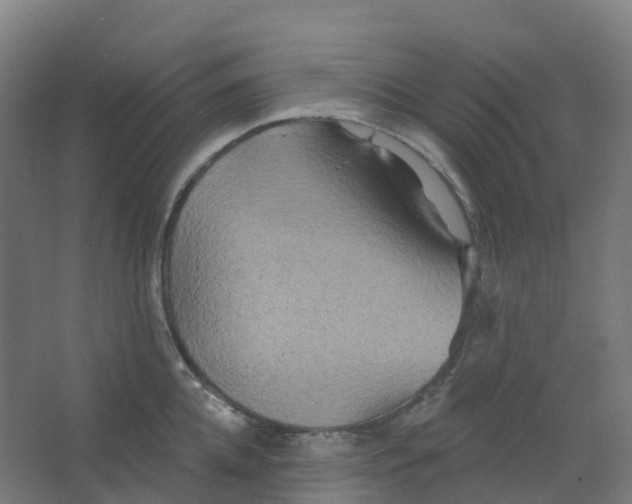 X0000066930952200604141954