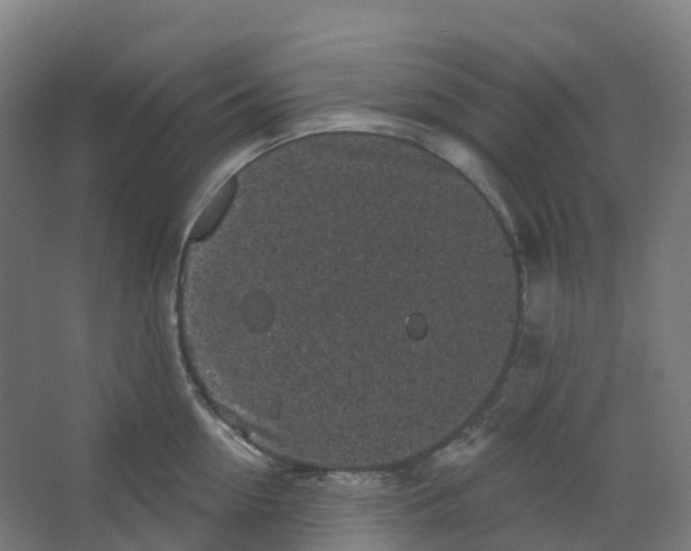 X0000066930954200604141954