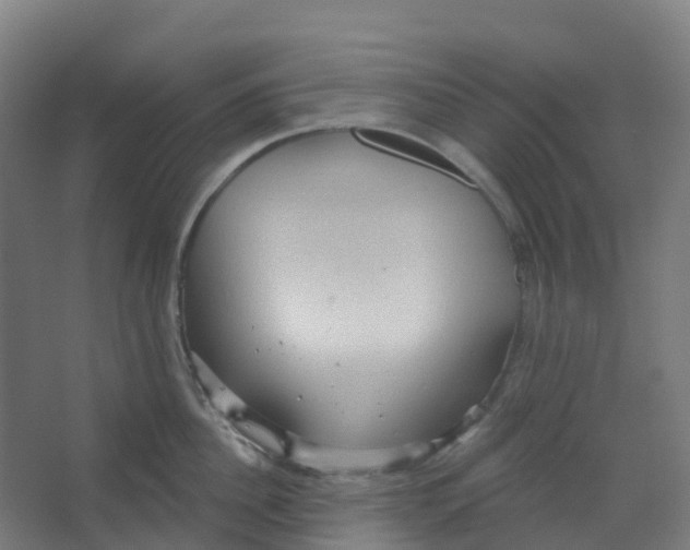 X0000066930956200604141954