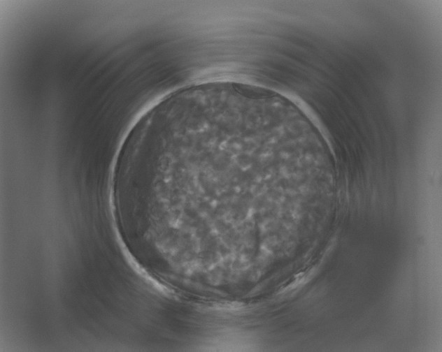 X0000066930957200604141954