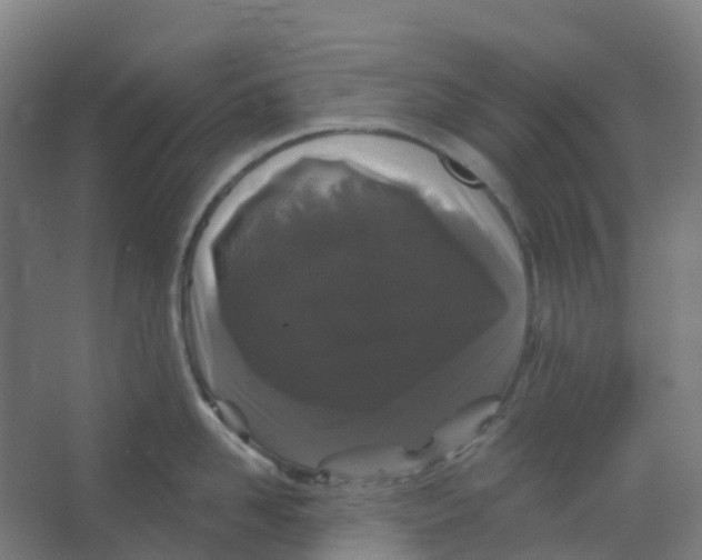 X0000066930958200604141954