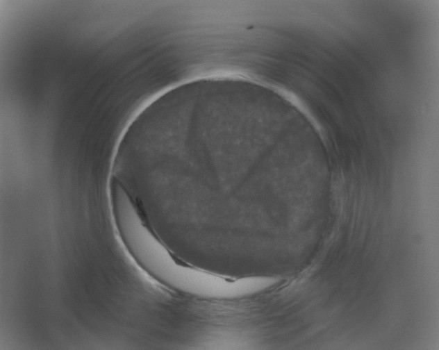 X0000066930959200604141954