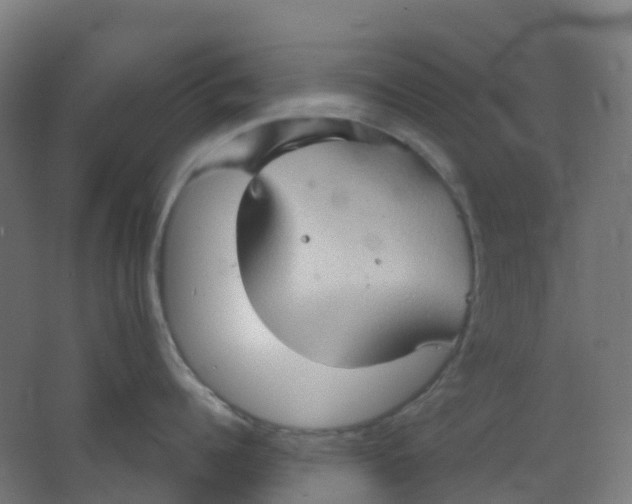 X0000066930960200604141954