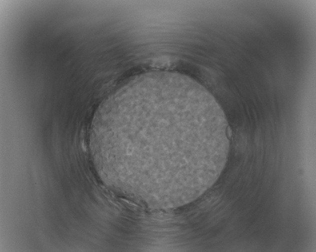 X0000066930962200604141954