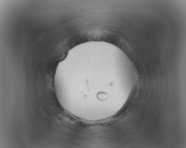 X0000066930964200604141953