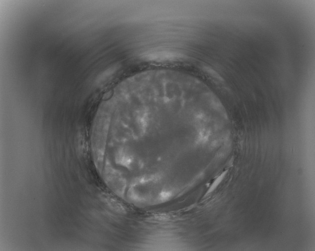 X0000066930966200604141953