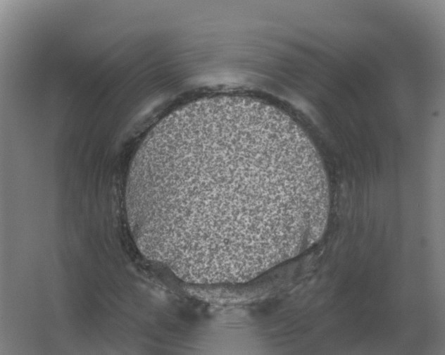 X0000066930967200604141953