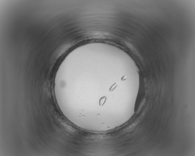 X0000066930970200604141953