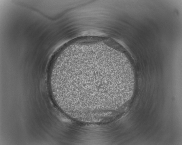 X0000066930971200604141953