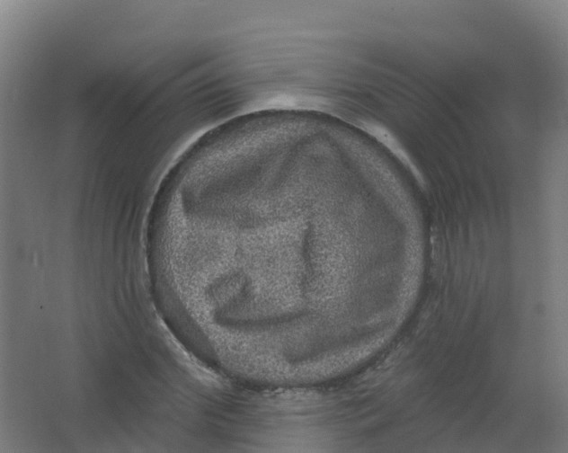 X0000066930972200604141953