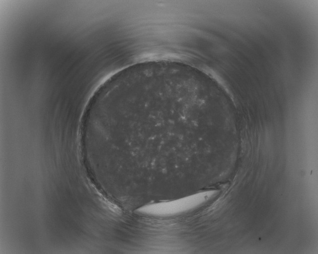 X0000066930975200604141953