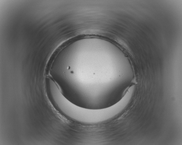 X0000066930976200604141953