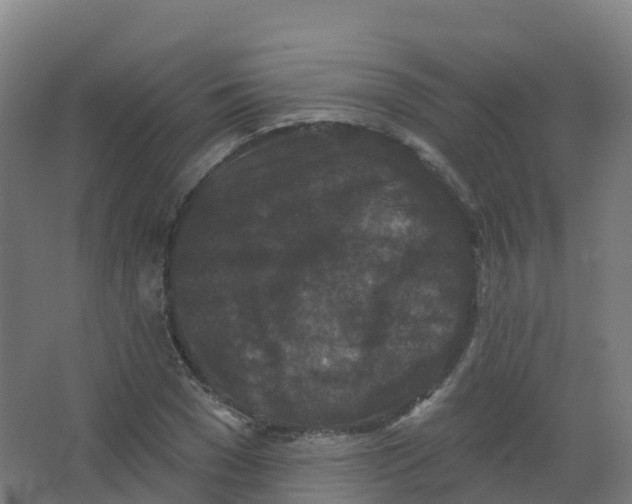 X0000066930977200604141953