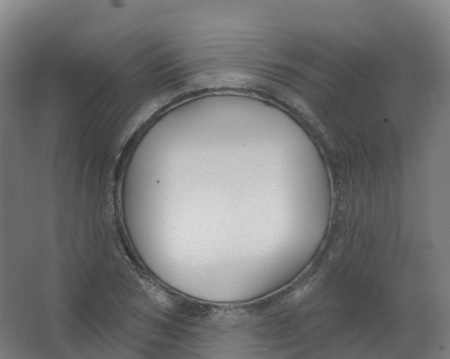 X0000066930978200604141953