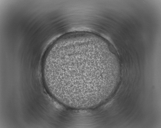 X0000066930979200604141953