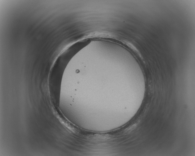 X0000066930981200604141953