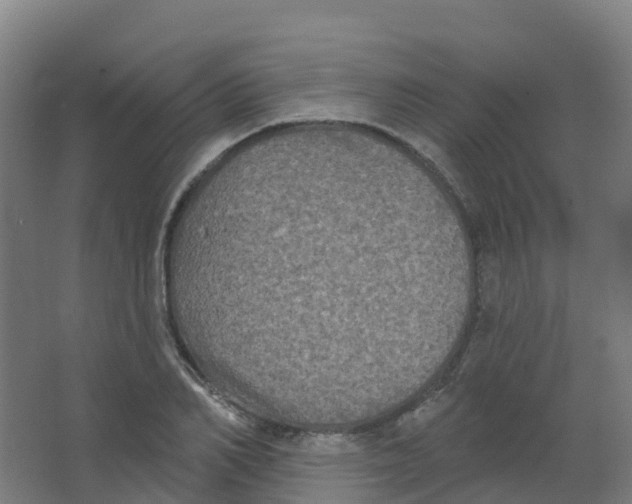 X0000066930982200604141953