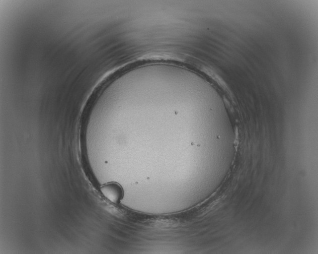 X0000066930984200604141953