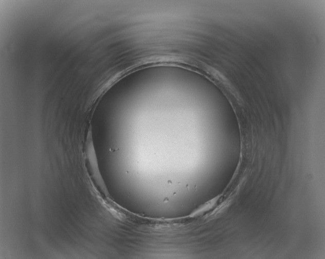 X0000066930985200604141953