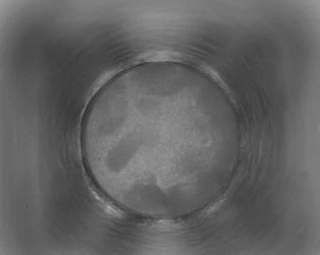 X0000066930986200604141953