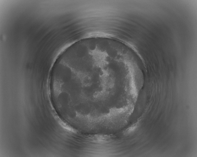 X0000066930987200604141953