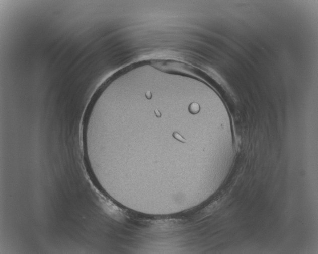 X0000066930988200604141953