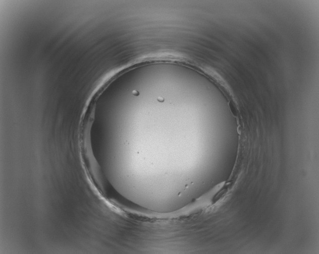 X0000066930989200604141953