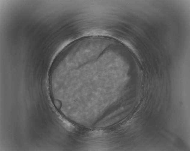 X0000066930990200604141953