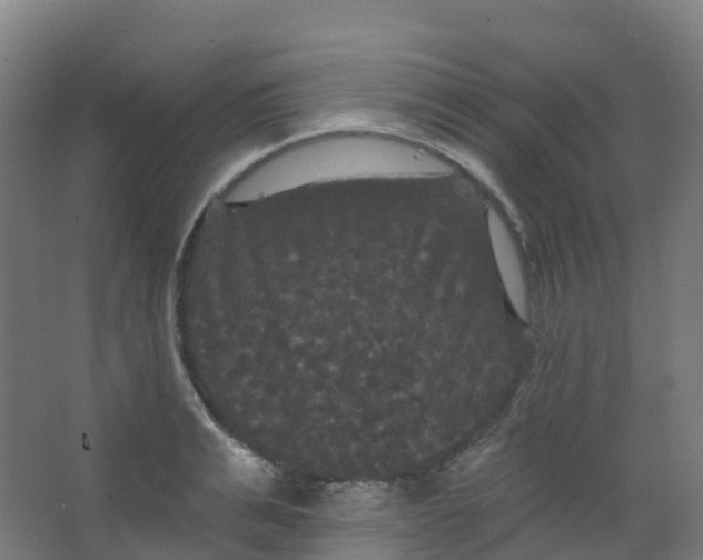 X0000066930991200604141953