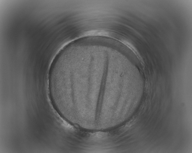 X0000066930992200604141953