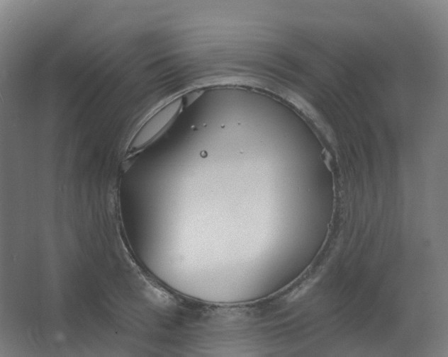 X0000066930993200604141953