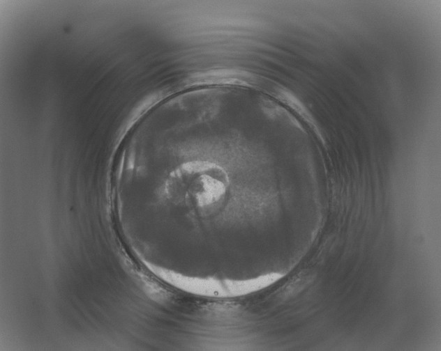 X0000066930994200604141953