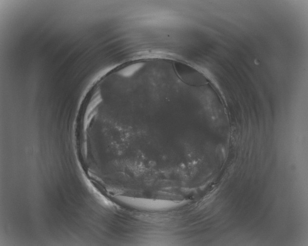 X0000066930995200604141953