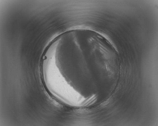 X0000066930998200604141953