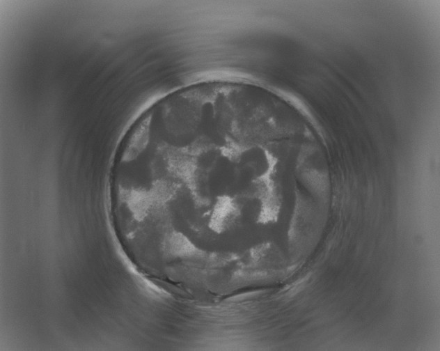 X0000066930999200604141953