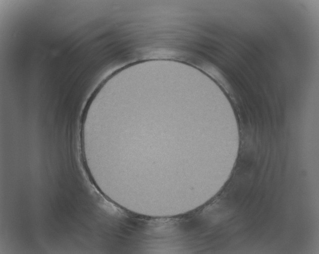 X0000066931000200604141953