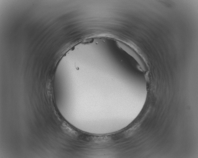 X0000066931001200604141953