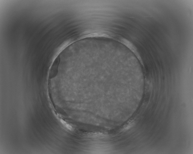 X0000066931002200604141953