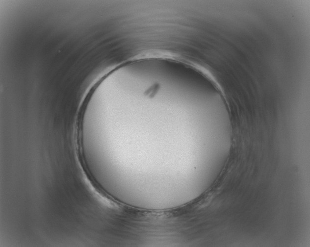 X0000066931003200604141953