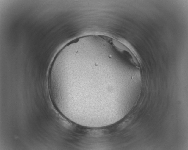 X0000066931004200604141953