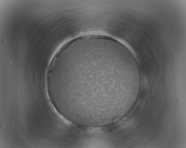 X0000066931006200604141953