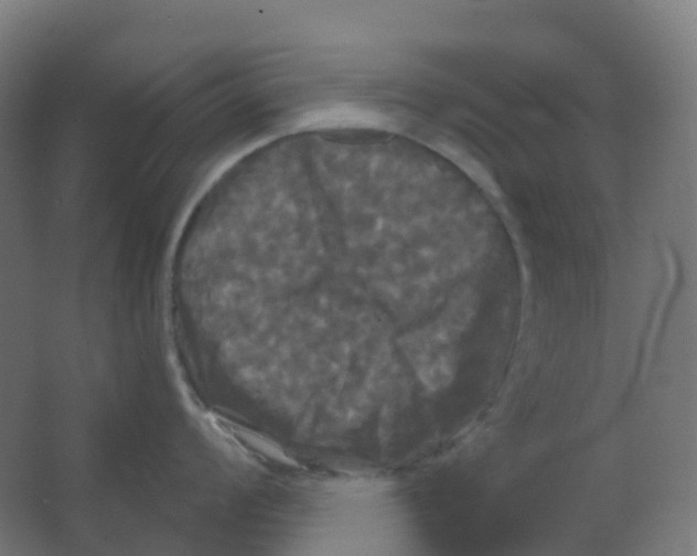 X0000066931008200604141953