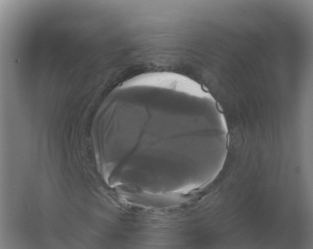 X0000066931009200604141952