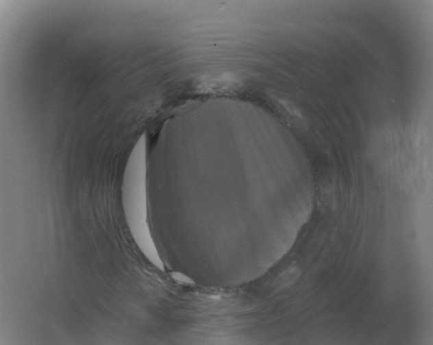 X0000066931010200604141952