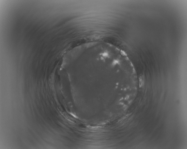 X0000066931011200604141952