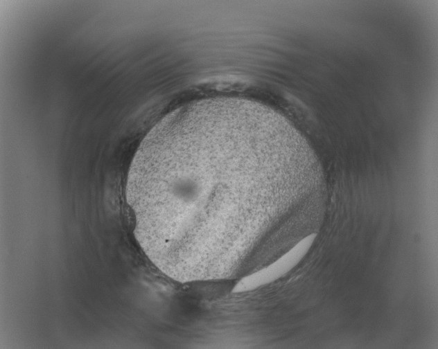 X0000066931014200604141952